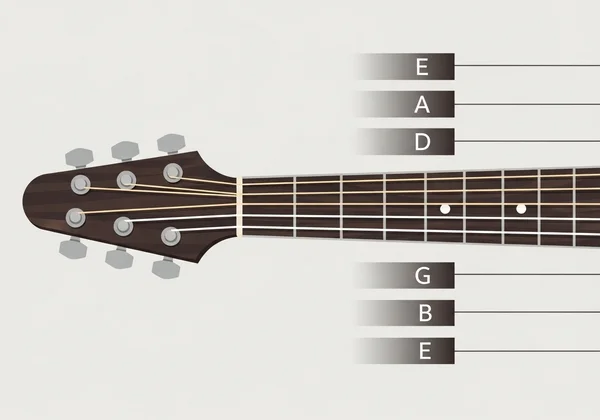 Guitar neck with standard EADGBe tuning notes labeled