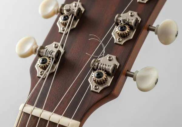 Close-up of guitar headstock showing tuning pegs